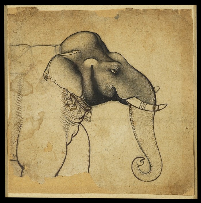 Head of an Elephant - Kota, Rajasthan, 1700-1710.